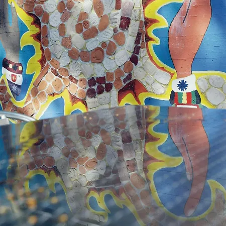 بيت شباب شباب يوث لاروشيت *